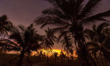 Картинка природа тропики курорт океан