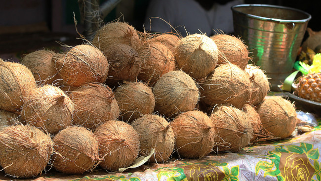 Обои картинки фото еда, кокос, кокосы