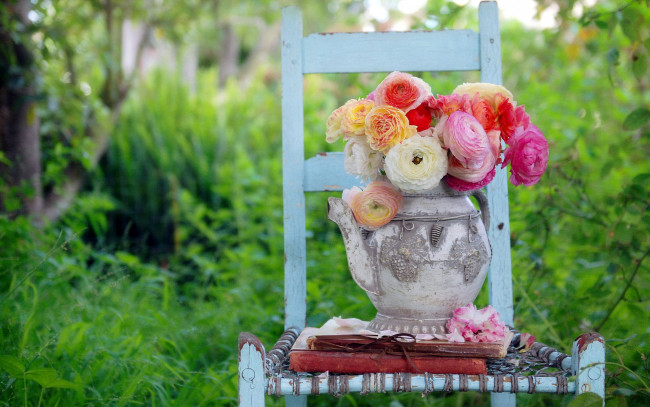 Обои картинки фото цветы, ранункулюс , азиатский лютик, стул, чайник, разноцветные