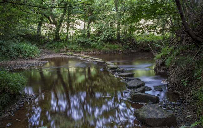 Обои картинки фото природа, реки, озера, река, лес