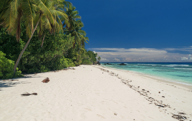 Обои картинки фото природа, тропики, курорт, океан