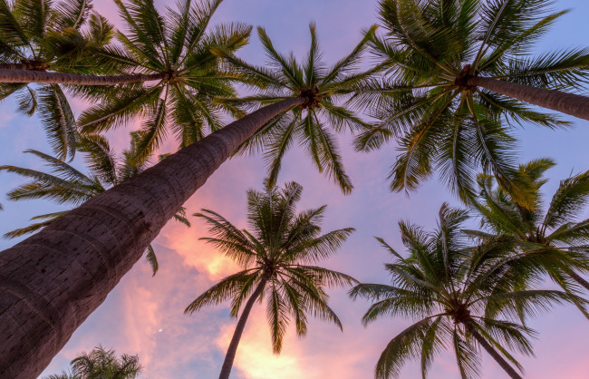 Обои картинки фото природа, тропики, курорт, океан