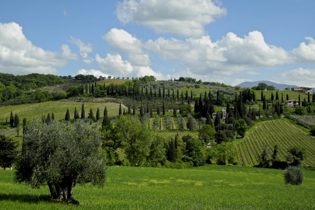 Обои картинки фото природа, пейзажи, простор