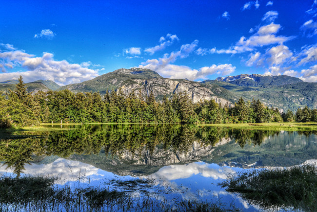 Обои картинки фото природа, реки, озера, река, лес