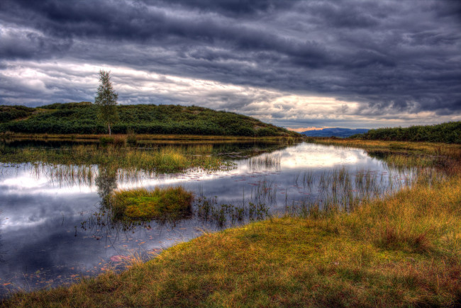 Обои картинки фото природа, реки, озера, река, лес