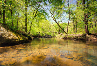 Картинка природа реки озера простор