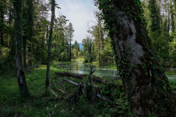 Картинка природа реки озера простор