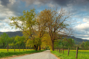 Картинка природа дороги простор