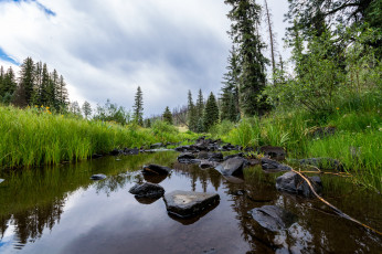 Картинка природа реки озера простор