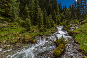 Картинка природа реки озера простор