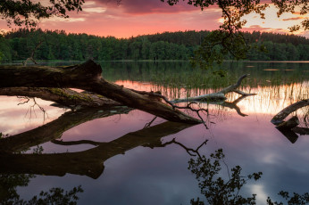 Картинка природа реки озера простор