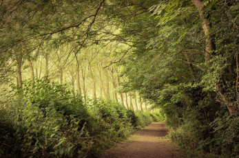 Картинка природа дороги простор