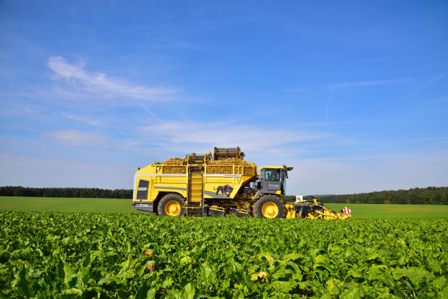 Обои картинки фото техника, комбайны, ropa