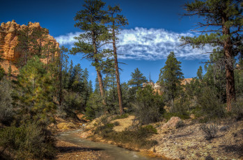 Картинка природа горы простор