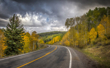 Картинка природа дороги простор