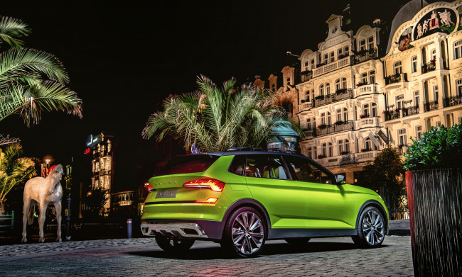 Обои картинки фото автомобили, skoda