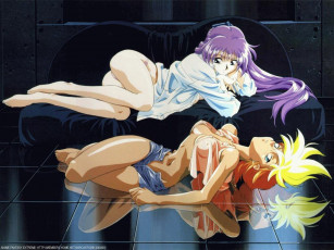 Картинка аниме dirty pair