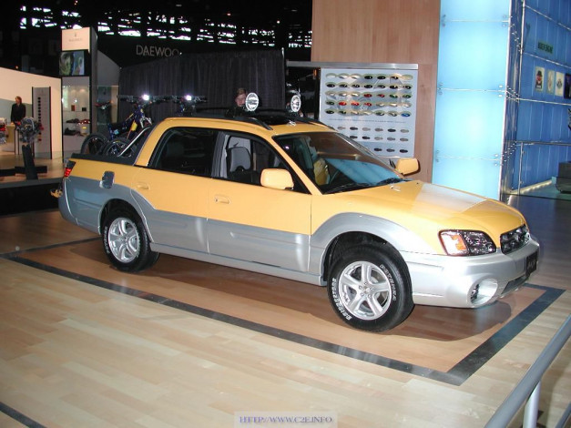 Обои картинки фото 