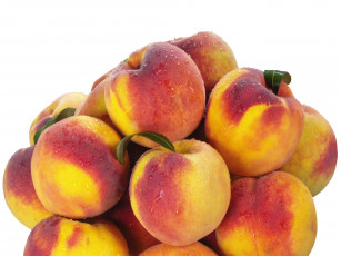 Картинка еда персики сливы абрикосы