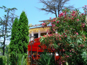 Картинка сочи города другое