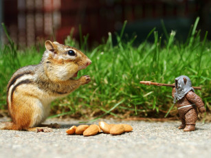 Картинка животные бурундуки