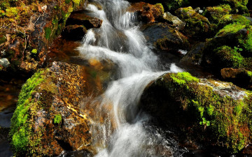 Картинка природа реки озера