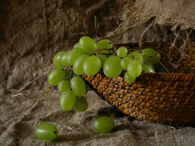 Обои картинки фото еда, виноград