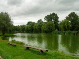 Картинка природа реки озера деревья скамейки трава река