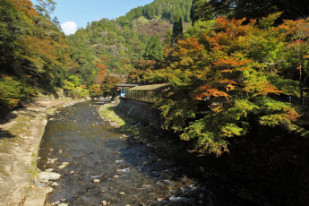 Картинка природа реки озера вода деревья дом