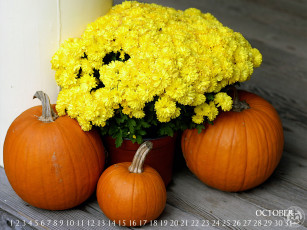 Картинка календари цветы хризантемы тыква