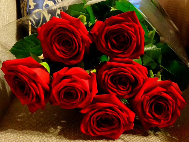 Обои картинки фото цветы, розы, букет