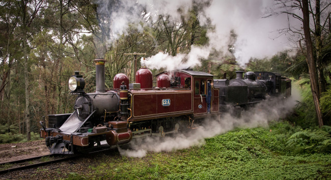 Обои картинки фото техника, паровозы, железная, вагоны, дорога, рельсы, паровоз