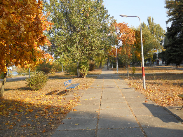 Обои картинки фото русановская набережная в киеве, природа, парк, аллея, осень, киев