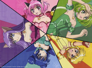 обоя аниме, tokyo mew mew, девочки