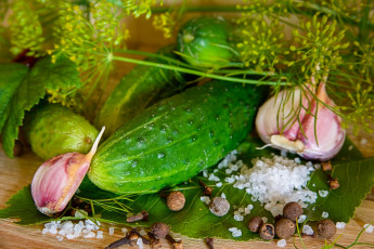 Картинка еда огурцы огурец чеснок