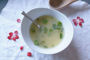 Картинка еда первые+блюда суп