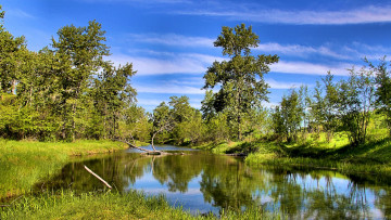 Картинка природа реки озера простор