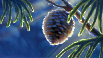 Картинка рисованное природа шишка ветки