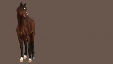 Картинка рисованное животные +лошади фон лошадь