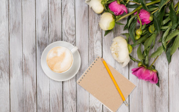 Картинка праздничные день+святого+валентина +сердечки +любовь flowers romantic кофе peonies white pink пионы valentine`s day бутоны