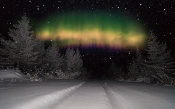 Картинка природа северное+сияние черно-белое зима снег деревья северное сияние снежинки колея небо ночь фотошоп лес