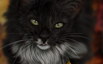 Картинка рисованное животные +коты взгляд