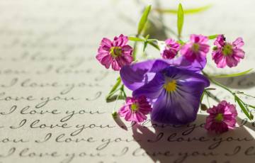 Картинка цветы разные+вместе виола письмо макро стиль