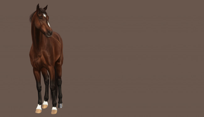 Обои картинки фото рисованное, животные,  лошади, фон, лошадь