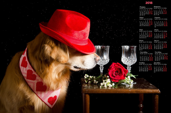 Обои картинки фото календари, животные, черный, фон, собака, шляпа, розы, фужер
