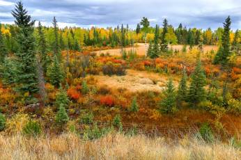 Картинка природа пейзажи простор