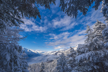 Картинка природа пейзажи простор