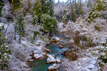 Картинка природа реки озера простор