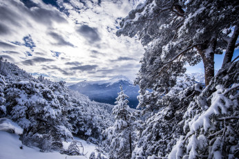 Картинка природа зима простор