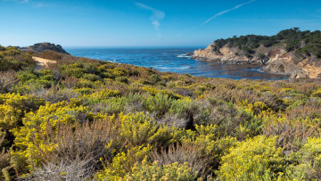 Картинка природа побережье простор